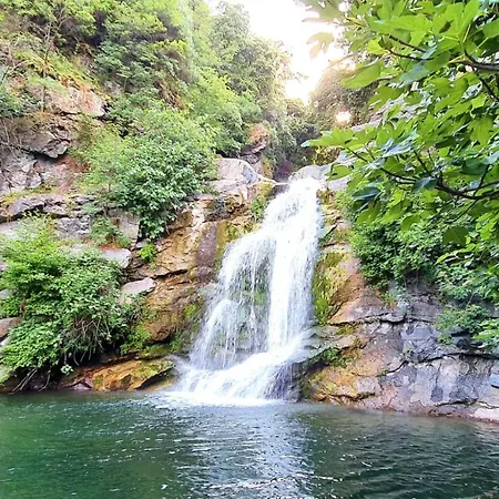 Maison U Nidu A 500m De La Dom wakacyjny Cervione